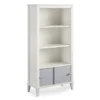 Monarch Hill Poppy Gray & White Bookcase