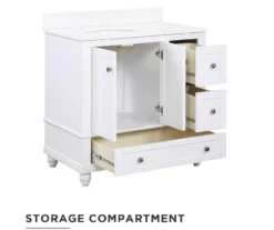 DHP Atwater Living Jazmyn Bathroom Vanity With White Sink -Walker Edison Shop 810610488 A0 2